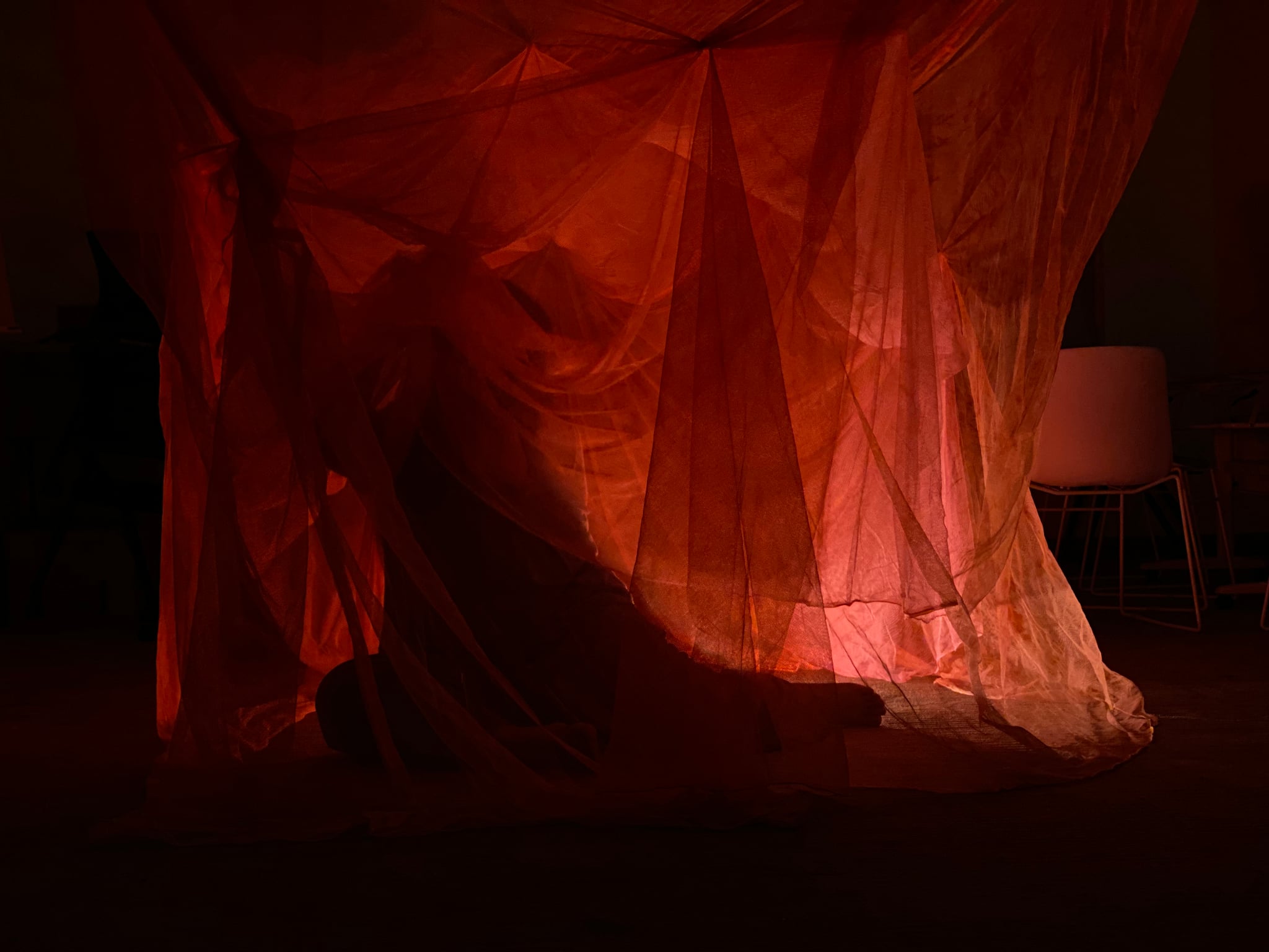 (signed) This Is Not What Thought / Yuri Hasegawa